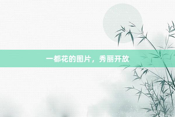 一都花的图片，秀丽开放