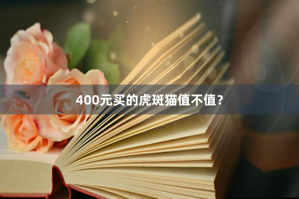 400元买的虎斑猫值不值?