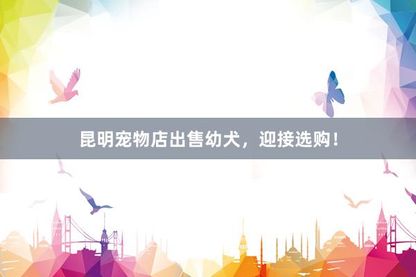 昆明宠物店出售幼犬，迎接选购！